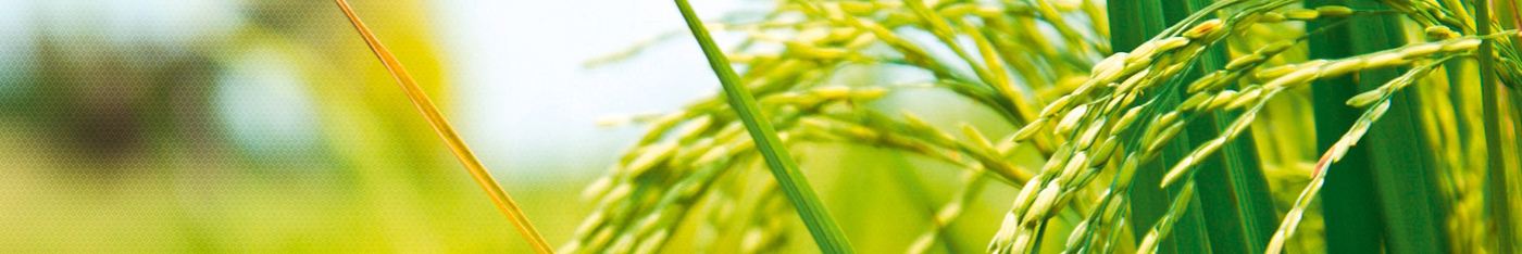 sub image 1